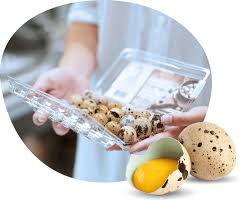 Only The Best Spring Creek Quail Egg - 18 pack 🍁
