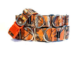 Wiggle Bumz🍁Tree Camo Orange Martingale Dog Collar