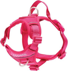 RC Pets🍁 Azalea Momentum Control Harness