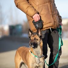 RC Pets🍁 Water Rebel Red Essential Treat Bag