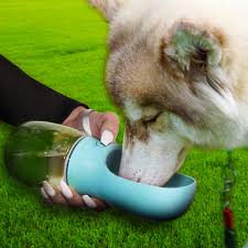 WAHL My Buddy Water Dispensing Bottle
