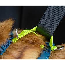 RC Pets 🍁Arctic Blue/Tennis Moto Control Harness