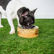 GF Pet 🍁Wood Bowl Natural