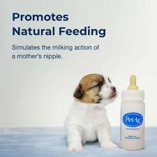 PetAg Nurser Bottle 120ml