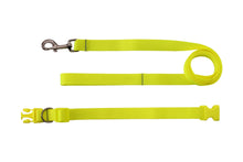 Bakoda 🍁 Tennis Collar & Leash Set
