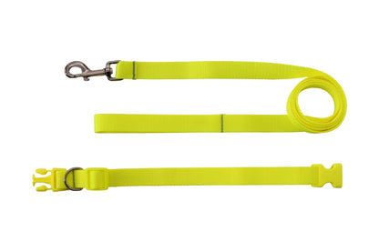 Bakoda 🍁 Tennis Collar & Leash Set