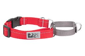 RC Pets🍁 Red Primary Web Training Clip Collar
