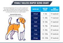 Jack & Jill 🍁Black Female Dog Diapers - Regular Fit