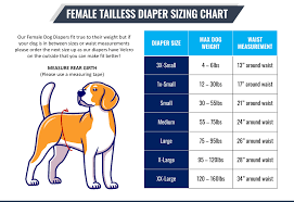 Jack & Jill 🍁Black Female Dog Diapers - Regular Fit