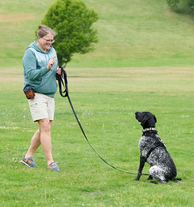 RC Pets 🍁 Black Training Leash 3/4"