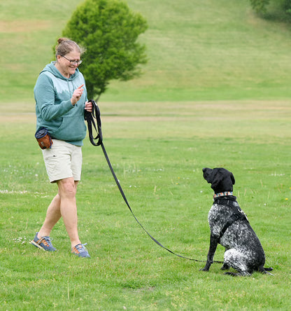 RC Pets 🍁 Black Training Leash 3/4"