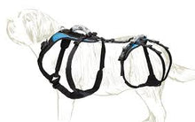 Help Em Up Large Conventional Harness 80-125lbs