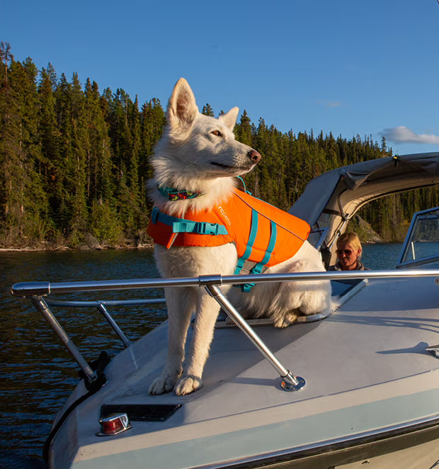 RC Pets🍁 Tidal Life Vest