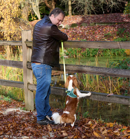 RC Pets 🍁Black Evolution Step-in Harness