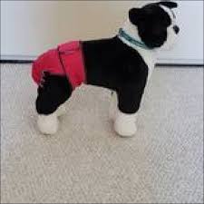 Jack & Jill 🍁Washable Pink Female Dog Diapers - Regular Fit