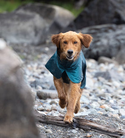 RC Pets🍁 Deep Sea Stormrunner Jacket for Dogs