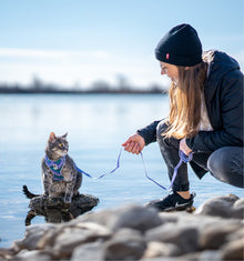 RC Pets🍁 Maze Adventure Kitty Harness