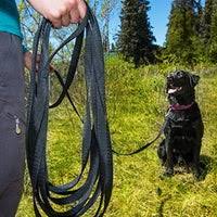 RC Pets 🍁Training Leash 3/4"x15ft