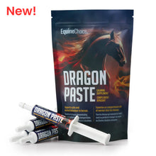 Equine Choice Dragon Paste 4 x 30ml