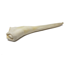 Open Range Full Length Bull Tail Dog Chew