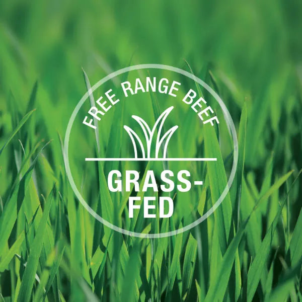 Feline Natural New Zealand Beef Feast Wet Food 6oz