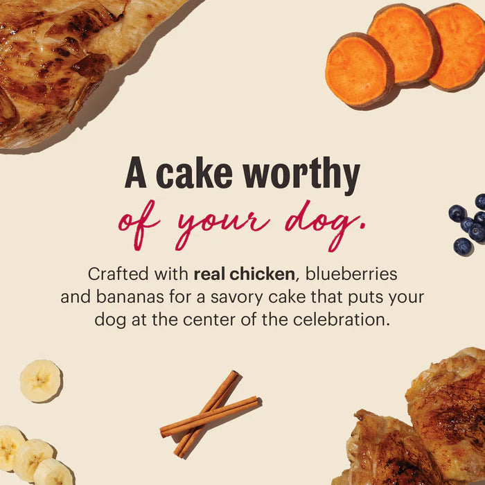 Honest Kitchen Birthday Cake Mix made with Chicken & Blueberries