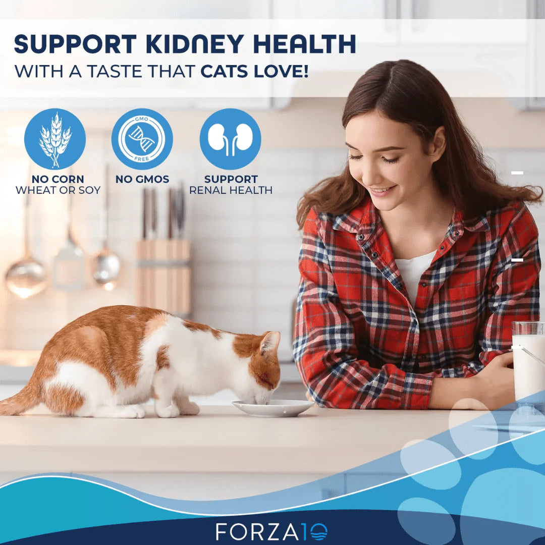 Forza 10 Renal Lamb Cat Food 3.5oz