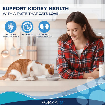 Forza 10 Renal Lamb Cat Food 3.5oz