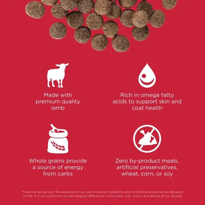 Go! Dog 12lb Lamb Skin & Coat Recipe