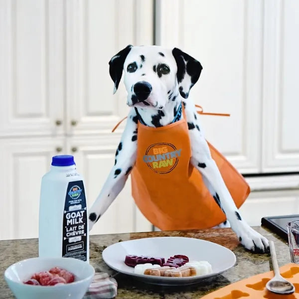 Big Country Raw🍁Raw Goat Milk Original - 975 mL