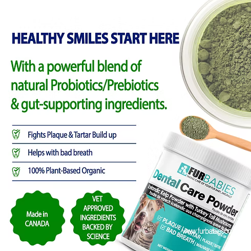 FurBabies 🍁Dental Care Powder for Dogs & Cats 100g