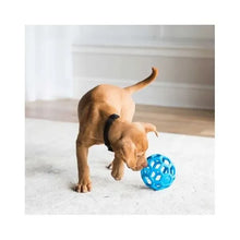 JW Pet Hol-ee Roller