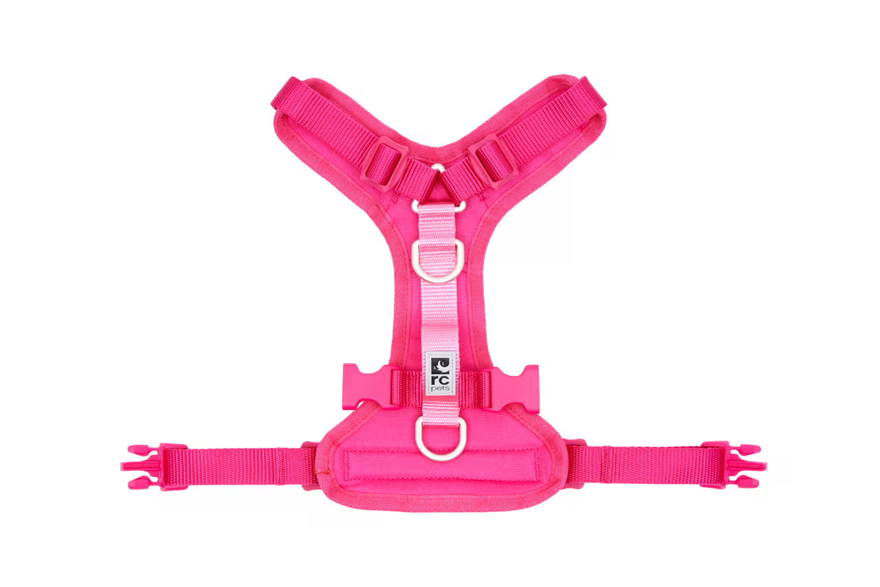 RC Pets🍁 Small Azalea Moto Control Harness