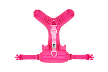 RC Pets🍁 Small Azalea Moto Control Harness