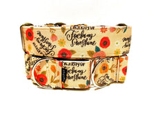 Wiggle Bumz I'm A Ray of F***ing Sunshine Martingale Dog Collar
