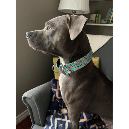 Wiggle Bumz 🍁 Boho Unicorn Martingale