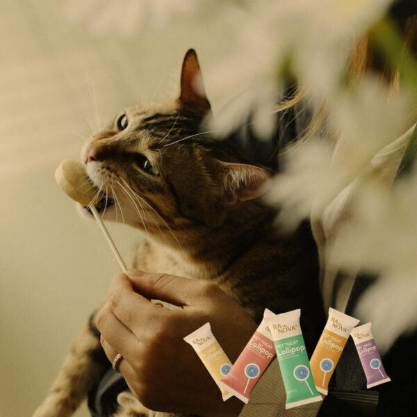 Ranova Freeze Dried Lollipop for Cats