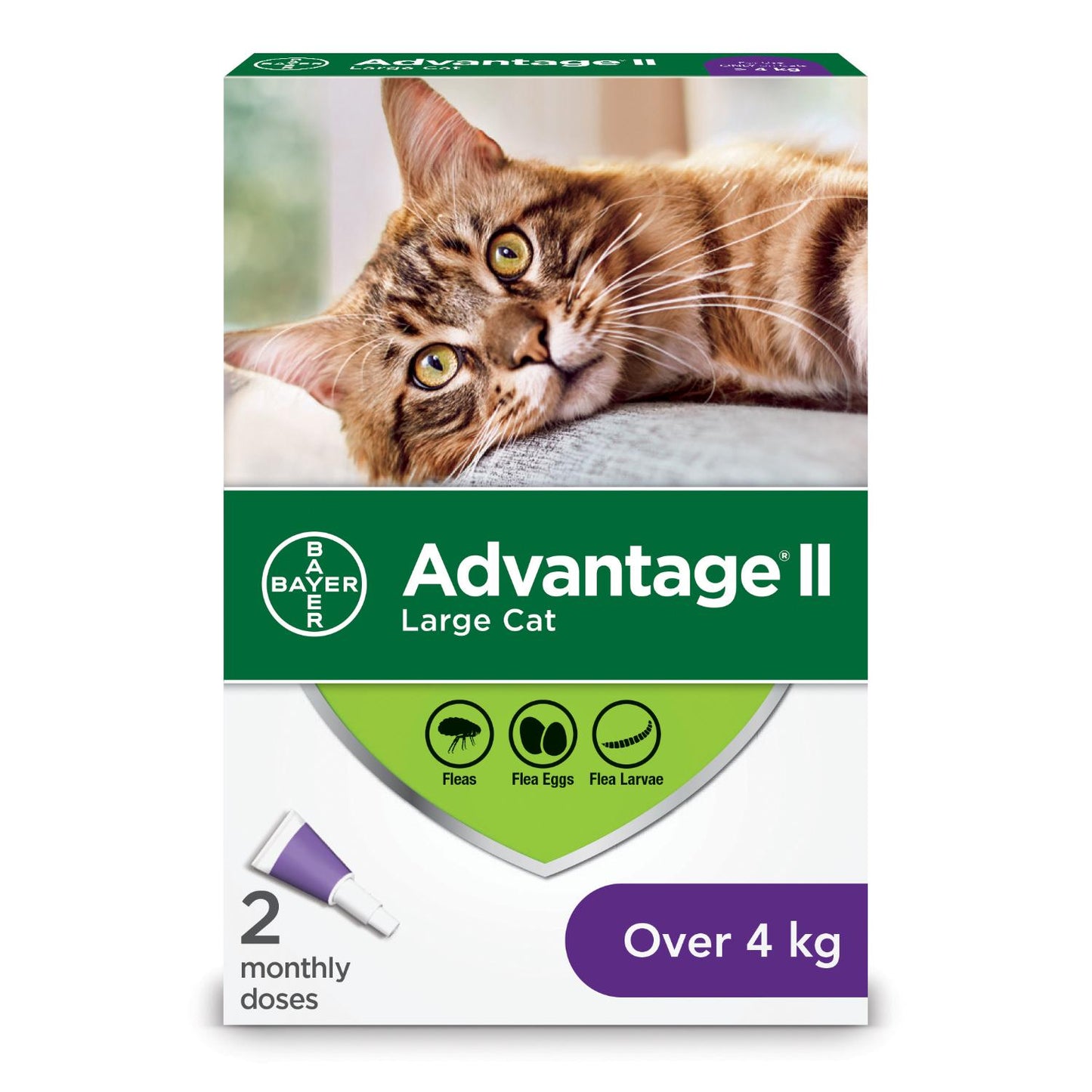 Bayer Advantage II Large Cats over 4kg 2Pk