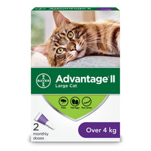 Bayer Advantage II Large Cats over 4kg 2Pk
