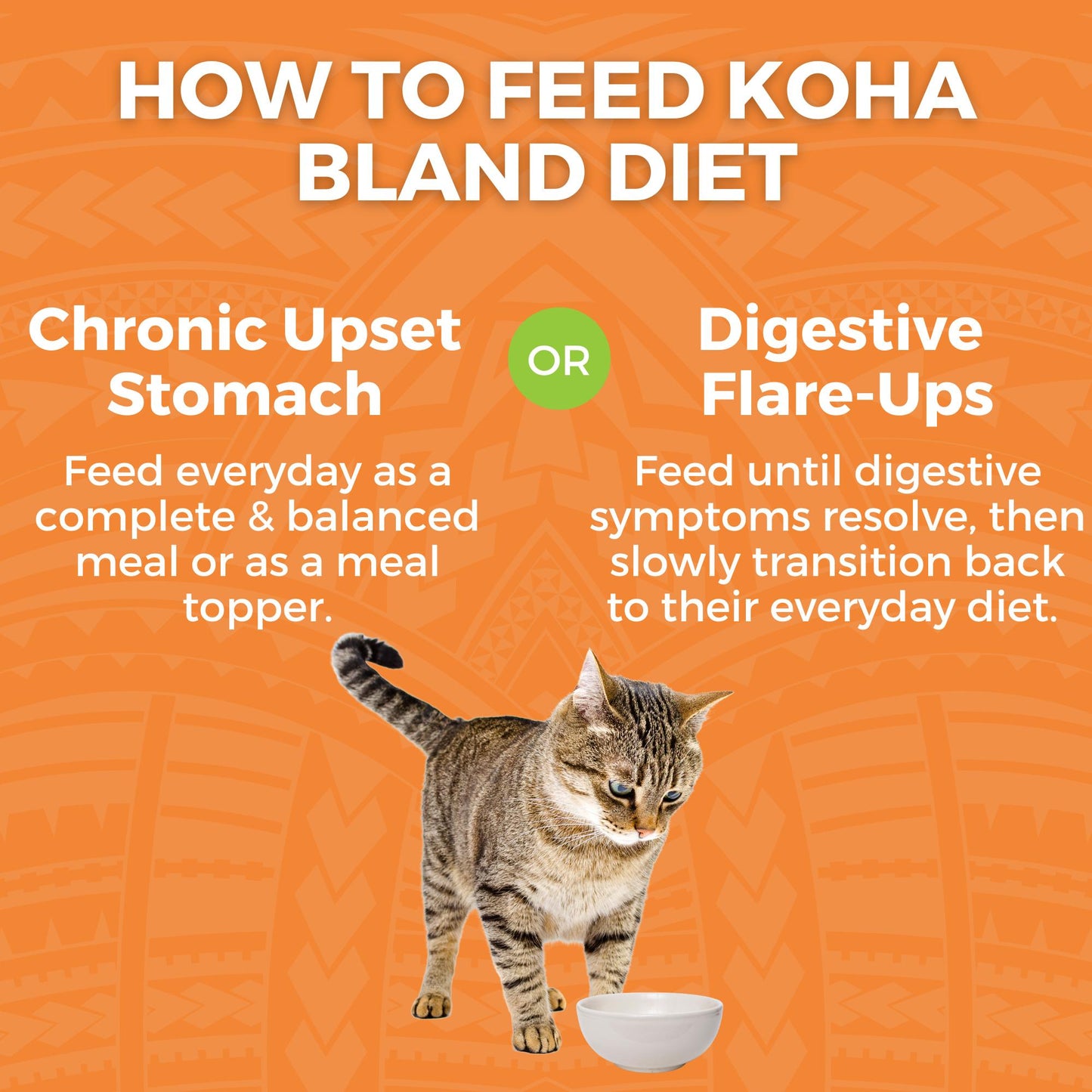 Koha Bland Diet Chicken & White Rice with Pumpkin for Cats 2.8oz