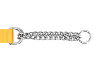 RC Pets🍁 Sapphire Primary Training Clip Collar