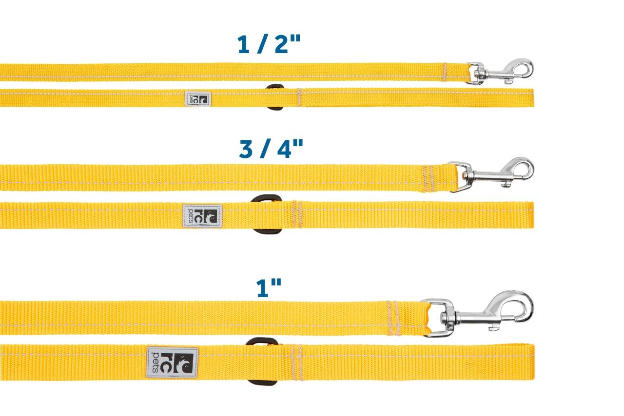 RC Pets🍁 Sapphire Primary Leash