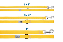 RC Pets🍁 Sapphire Primary Leash