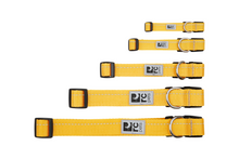 RC Pets🍁 Sapphire Primary Collar