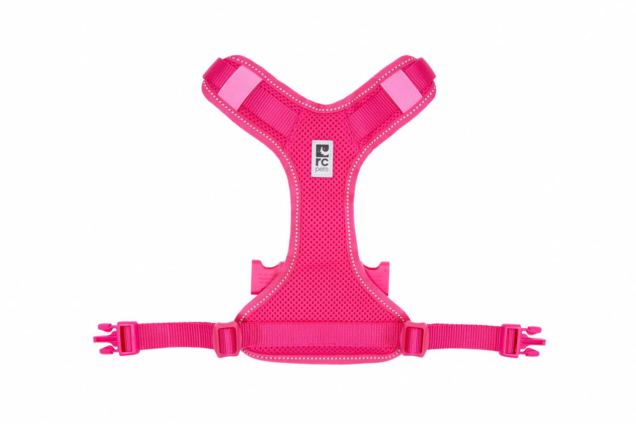 RC Pets🍁 Moto Control Goji Berry & Burgundy Harness