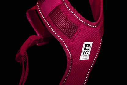 RC Pets🍁 Moto Control Goji Berry & Burgundy Harness