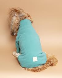 FuzzYard Life Pajama - Myrtle Green