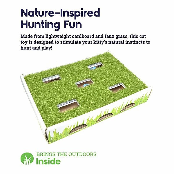 Petstages® Grass Patch Hunting Box