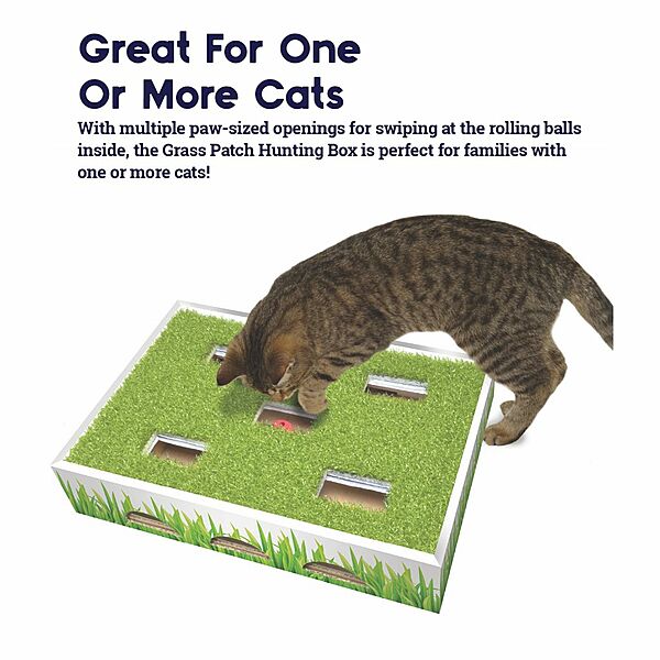 Petstages® Grass Patch Hunting Box
