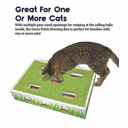 Petstages® Grass Patch Hunting Box